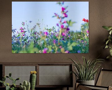 Wilde Zomer Bloemen in een veld bij Gewande 06 van FotoDennis.com | Werk op de Muur