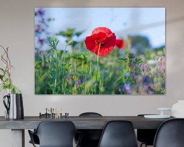 Wild Summer Flowers in a field near Gewande 09 by FotoDennis.com | Werk op de Muur