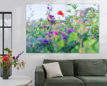 Wilde Zomer Bloemen in een veld bij Gewande 07 van FotoDennis.com | Werk op de Muur