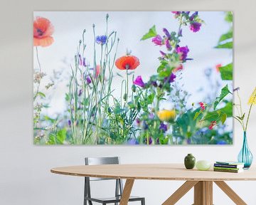 Wilde Sommerblumen auf einem Feld bei Gewande 12 von FotoDennis.com | Werk op de Muur