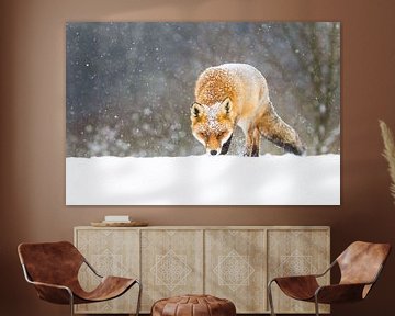 rode vos in de sneeuw van Pim Leijen