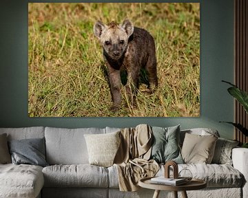 kleine hyena van Peter Michel