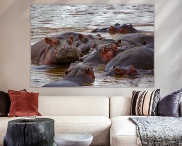 Nijlpaarden van Peter Michel