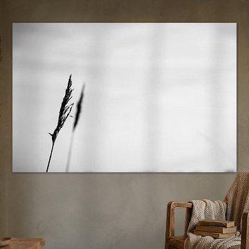 Pluim Duo - Zwart Wit