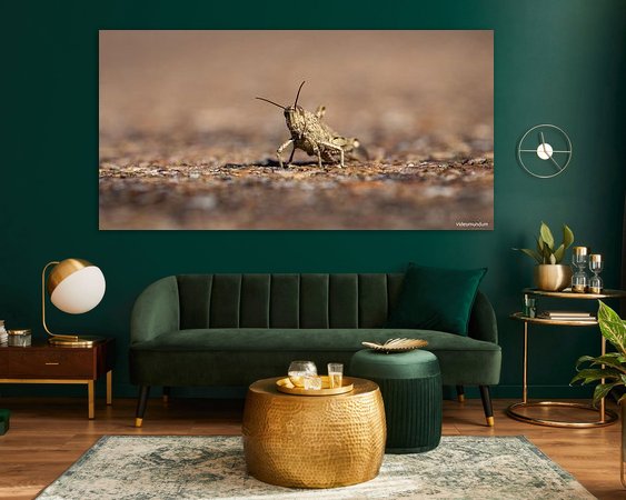 Aperçu de la chambre