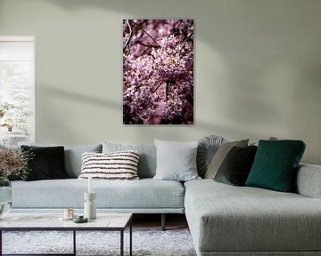 Rosenblüte von Digitale Schilderijen