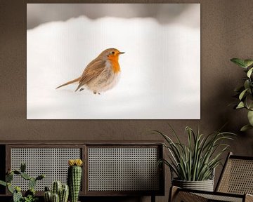 Robin in the snow. by Albert Beukhof