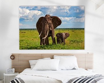 Maman éléphant avec son petit