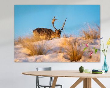 Hert in de sneeuw in Zandvoort van Jessica Brouwer