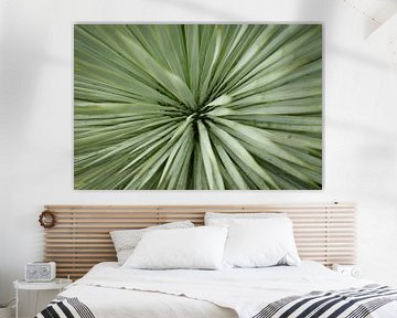 Nahaufnahme einer grünen Palme | Makro- und Naturfotografie von Diana van Neck Photography