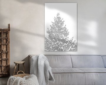 Ein Nadelbaum mit schneebedeckten Spitzen
