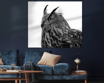 Owl in black and white by Marjolein van Middelkoop
