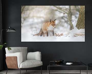 Red fox in the snow by Menno Schaefer