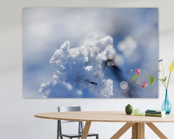 macrofoto met tegenlicht, sneeuw en rijp in de natuur in Drenthe van Karijn | Fine art Natuur en Reis Fotografie