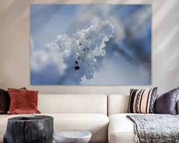 macrofoto van rijp , sneeuwfoto in de natuur in Drenthe van Karijn | Fine art Natuur en Reis Fotografie