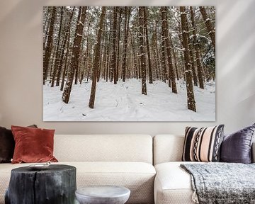 Winters bos 3 van Albert Mendelewski