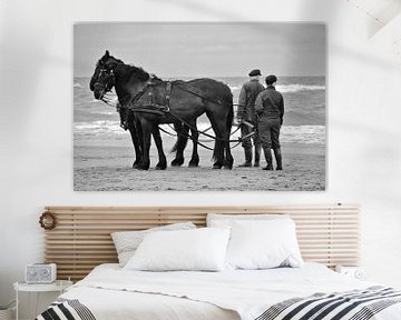 Friesian horses - Terschelling by Pierre Verhoeven