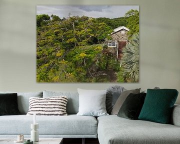 Fairview Great House & Botanical Garden op Saint Kitts & Nevis van Raymond Wijngaard