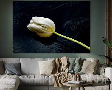 Vintage tulip, soft yellow on ice by Jolanda de Jong-Jansen