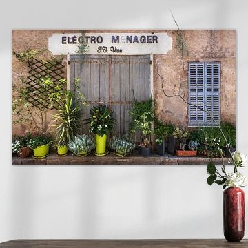 French façade with plants