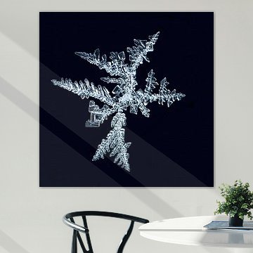 Crystal de glace sur Klaartje Majoor