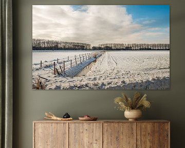 Paysage typique des polders néerlandais en hiver