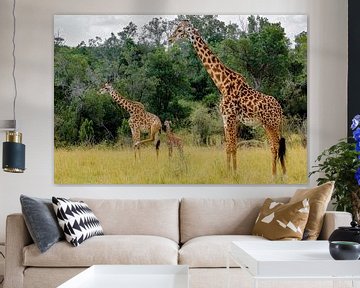 Giraffe familie van Peter Michel