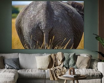 Elephant Butt van Peter Michel