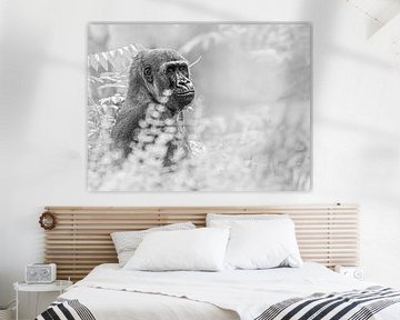 Gorilla in de struiken van Scholtes Fotografie