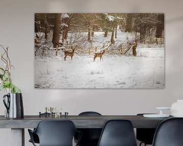 Two roe deer in a Poortvliet landscape by Pascal Raymond Dorland