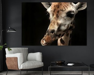 Giraffe van Saskia Hoks