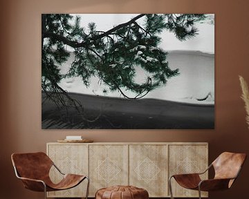 Macro foto ijs plakt op bomen van Wies Van Erp
