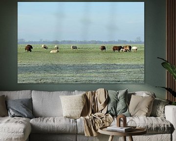 Nederlands landschap met een kudde schapen op een bevroren weiland bij Woerden, Utrecht, Nederland van Robin Verhoef