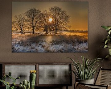 Sonnenaufgang zwischen den Bäumen von KB Design & Photography (Karen Brouwer)