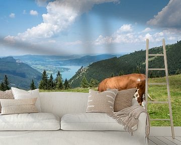 Kuh auf einer Alm im Salzkammergut