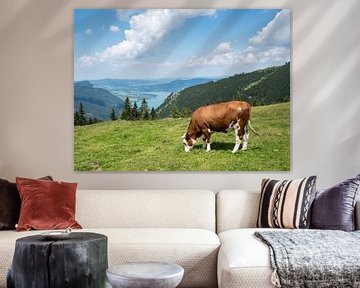 Vache dans un pâturage de montagne dans le Salzkammergut sur Animaflora PicsStock