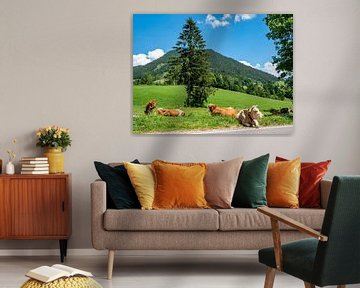 Kühe auf einen Dorf in den Berchtesgadener Alpen von Animaflora PicsStock
