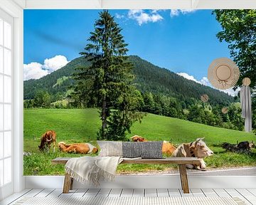 Kühe auf einen Dorf in den Berchtesgadener Alpen