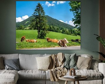 Koeien in een dorp in de Berchtesgadener Alpen van Animaflora PicsStock