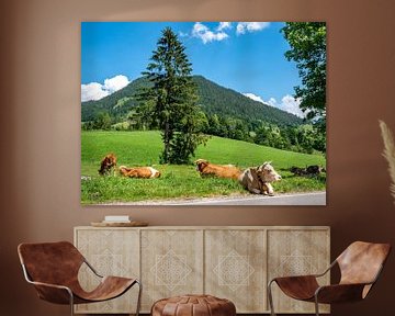 Koeien in een dorp in de Berchtesgadener Alpen van Animaflora PicsStock