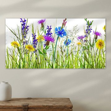 summer meadow abstract by Dörte Bannasch