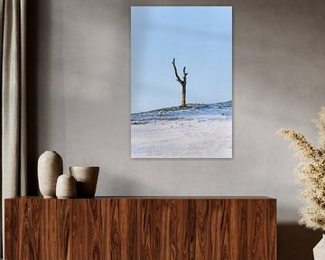 Een boom op een besneeuwde helling van zeilstrafotografie.nl