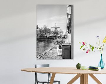 Dokkum von Scholtes Fotografie