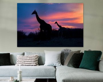 Giraffen in de zonsondergang van Peter Michel