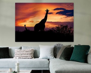 Giraffen in de zonsondergang van Peter Michel