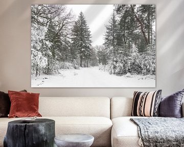 Sneeuw landschap op de Veluwe van Albert Beukhof