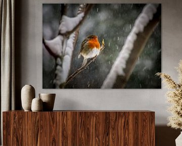 Robin dans la neige sur Marlies Gerritsen Photography