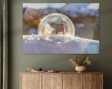 Frozen bubble 2021 soft van Stefanie van Dijk
