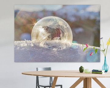 Frozen bubble 2021 soft van Stefanie van Dijk