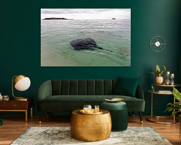 Een pijlstaartrog voor de kust van Australië van Coos Photography